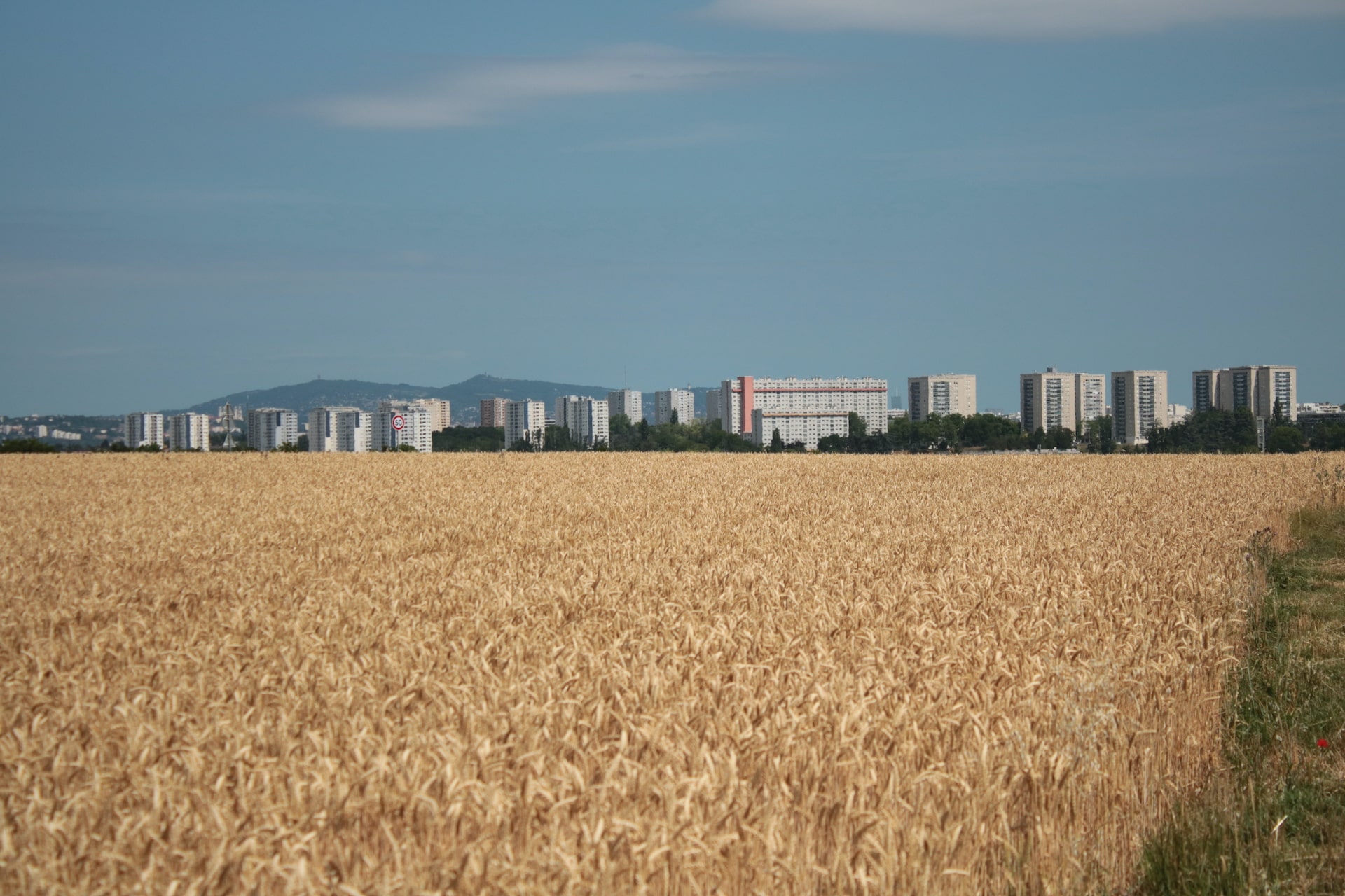 Les gratte-ciel de Vénissieux vus des Grandes Terres © Claire Morel