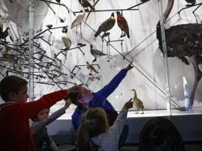 Musée des Confluences activités enfants