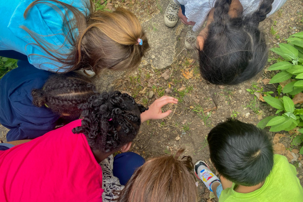 Lors d'une animation organisée au jardin partagé du Paysan Urbain dans le quartier Mermoz.