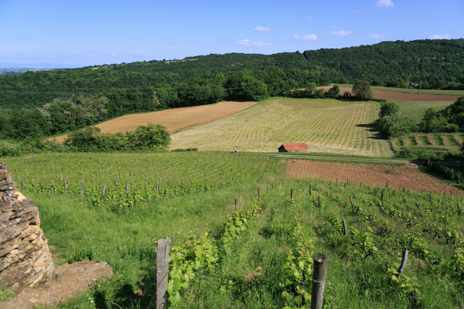 Poleymieux-au-Mont-d'Or © Laurence Vera - Métropole de Lyon