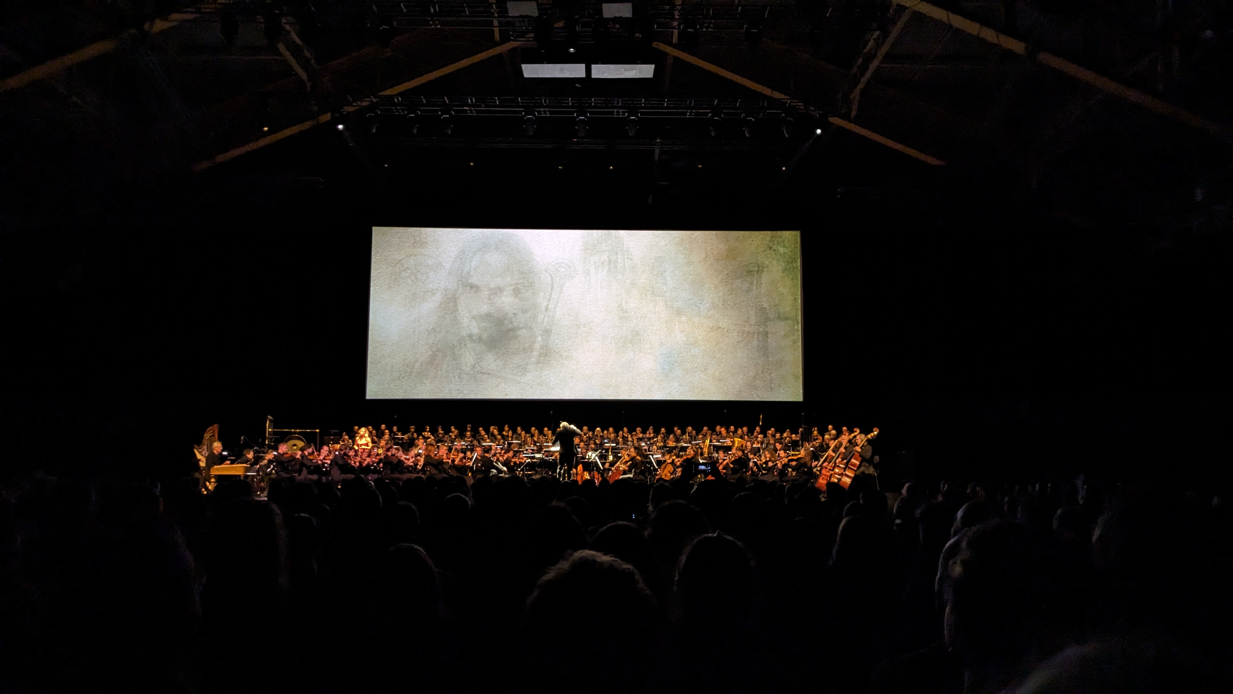 Ciné-concert "le seigneur des Anneaux" à la Halle Tony Garnier - Photo Julie Laurent